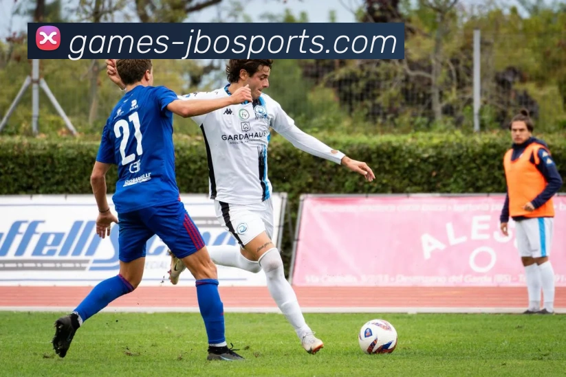 体育下注平台生态图